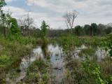 Flooded trail