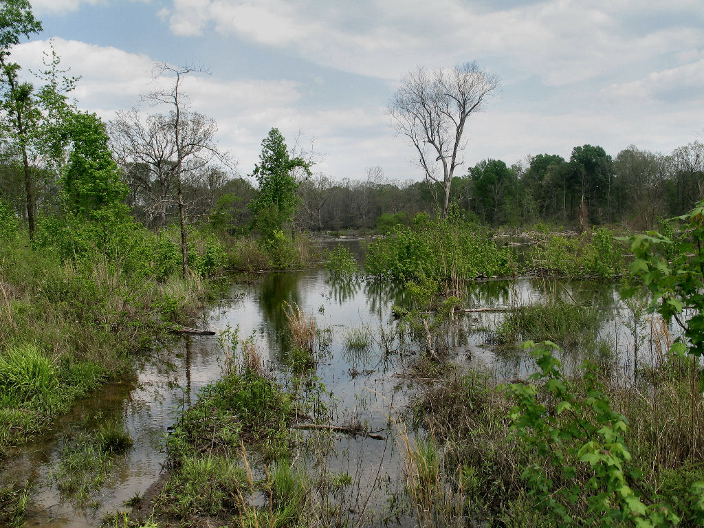 Flooded trail