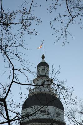 Statehouse Dome