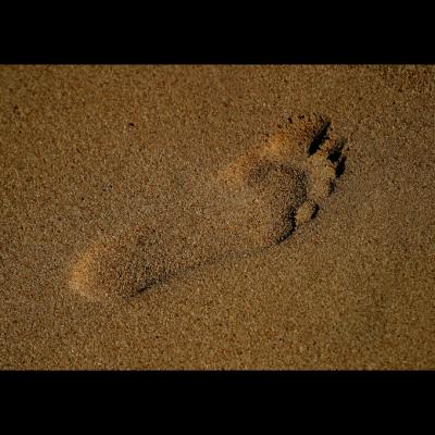 Footprint