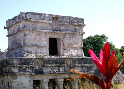 Mayan ruins 6