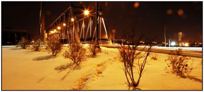 Bushes, Path,  Bridge