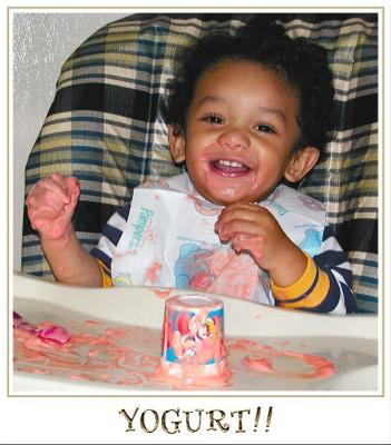 YOGURT!!  by dboogie