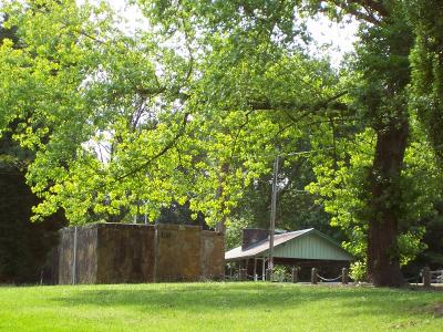 green loo view1766x.JPG