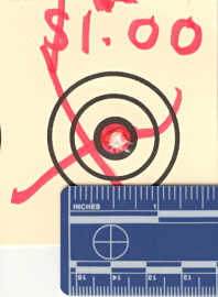 Heather's target pic