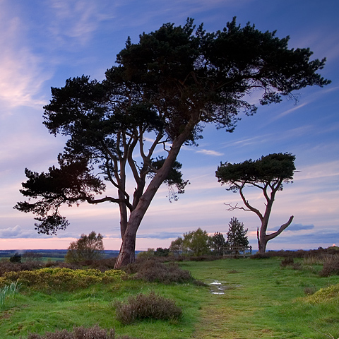 Evening on Broc Hill