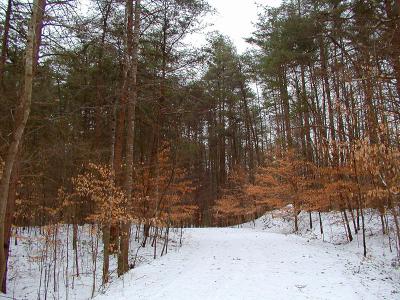 Liming Lane