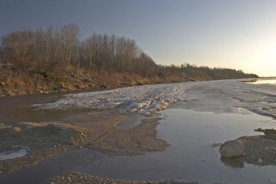 Looking north along shoreline April 17