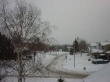 DSC00561.jpg