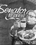 sen.jpg