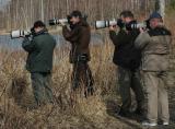 Photographing birds