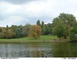 Hampstead Heath Pond2
