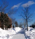 A Winter Sidewalk