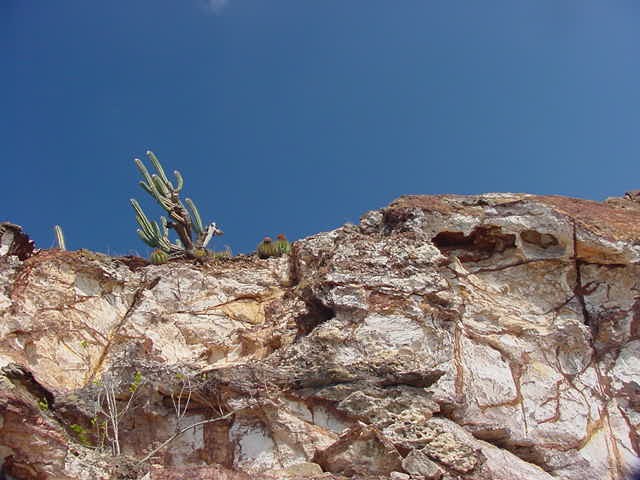 181cactusridge.JPG
