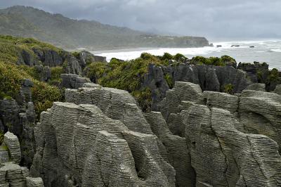 u16/philinnz/medium/39136086.DSC_6951_800pancake.jpg