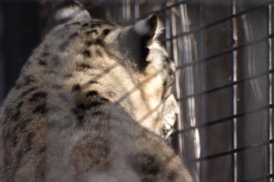 Hey, whats out there?