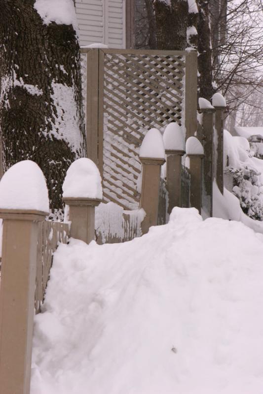 Snow Posts