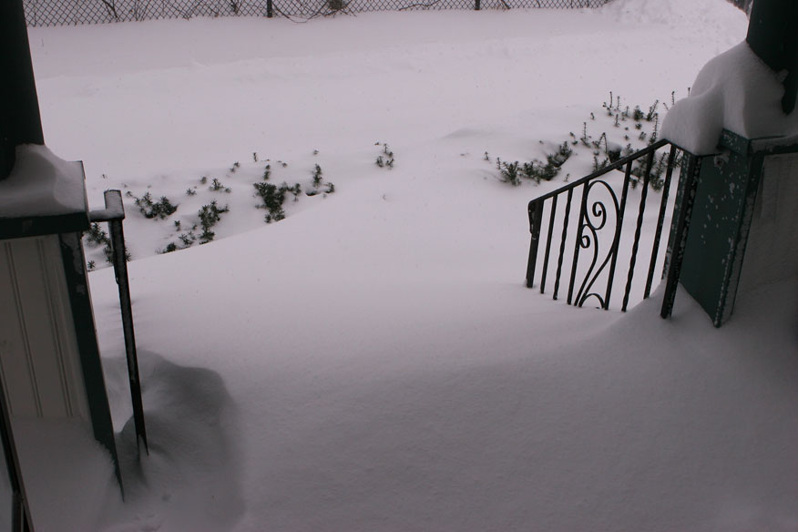 Front Steps