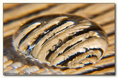 WaterLens