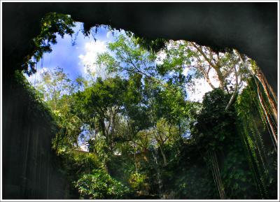Cenote Enterance