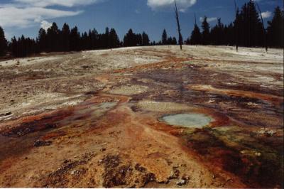 hotspring landscape.JPG