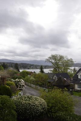 View05-4-17.jpg