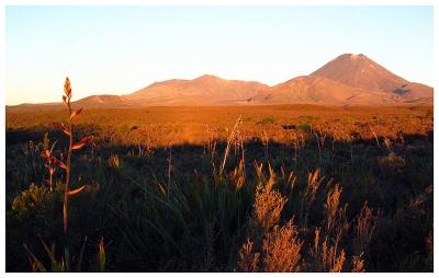 Ngaruahoe at At Sunset