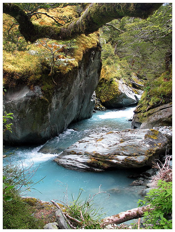 New Zealand -- Mossy Rock in Rob Roy Stream