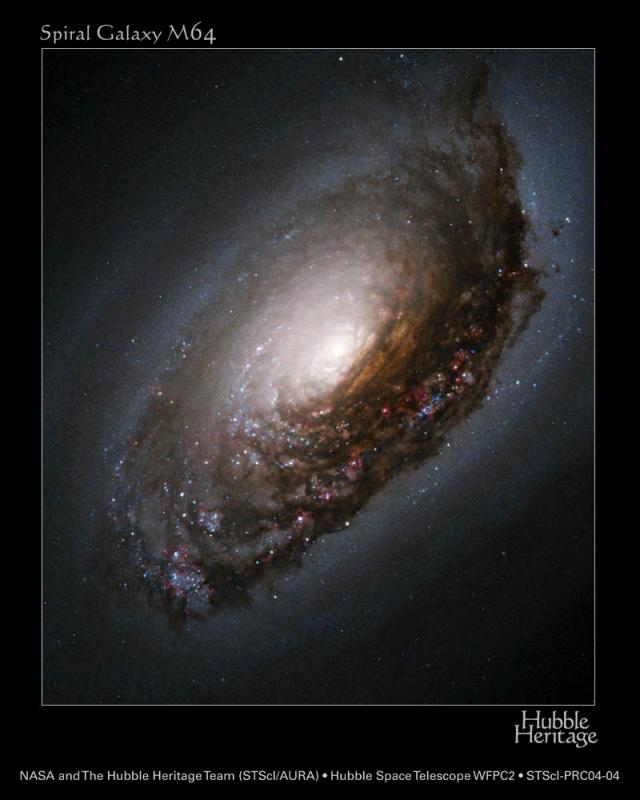 M64
