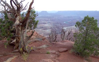 The Colorado River in Canyonlands