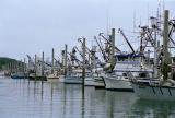 Fishing Fleet at Cordova