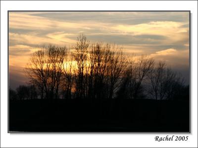 sunset at a park-4