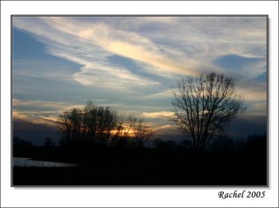 sunset at a park-5