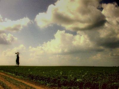 Beanfield and the Windmill