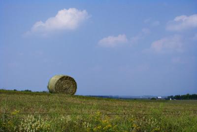 Hayroll