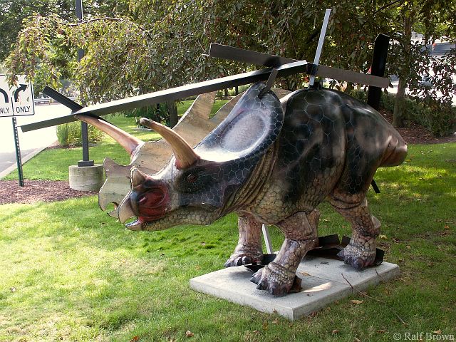 #35 Torn Torosaurus