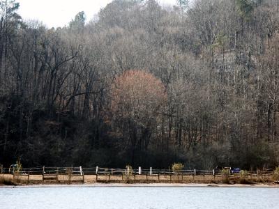 Horse farm on the river