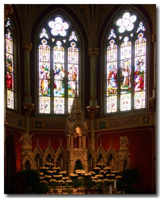 St. Johns IV