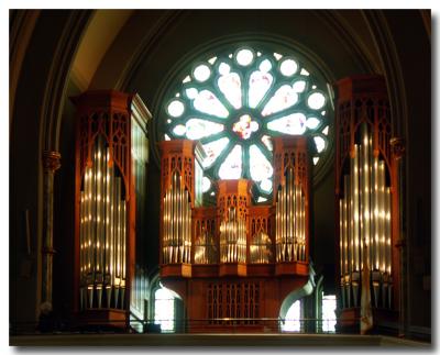 St. Johns VII