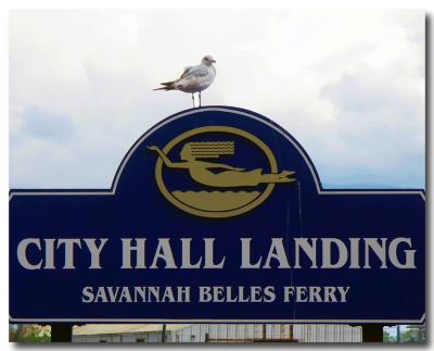 City Hall landing