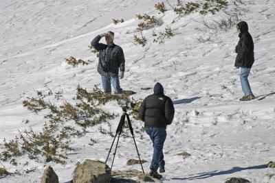 Searching for Ptarmigan