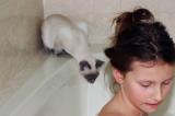 Bubble bath with cat.jpg
