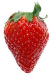 Whole strawberry.jpg