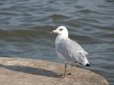 DSCN4101.JPG
