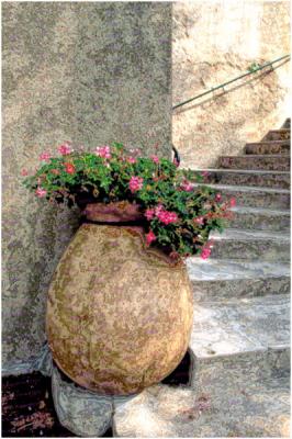 Pot and steps