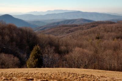 JPG CS Max Patch View DSC_9413.jpg