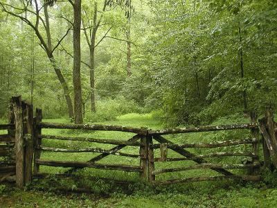 Roaring Fork Trail