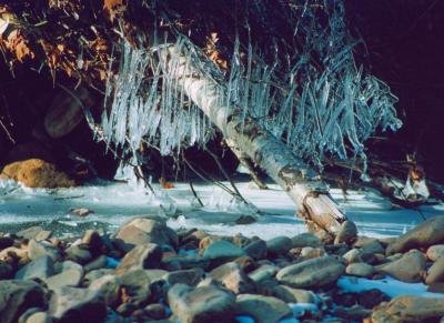 Icicle Cluster - Stones - Leaves  tb0105.jpg