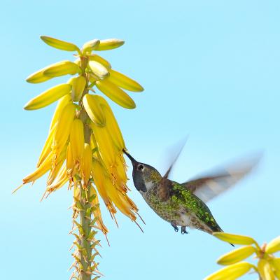 DSC_3471.jpg