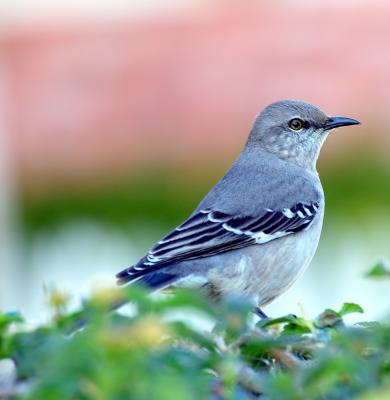 DSC_1440.jpg